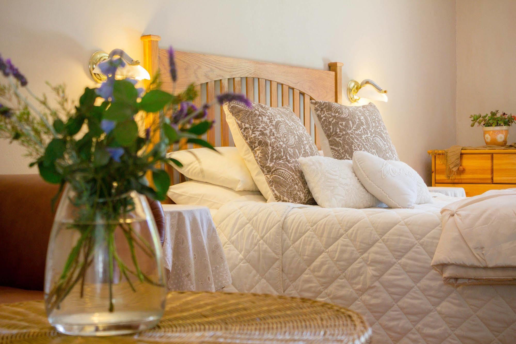 Adley House Bed and Breakfast Oudtshoorn Εξωτερικό φωτογραφία