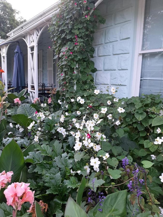 Adley House Bed and Breakfast Oudtshoorn Εξωτερικό φωτογραφία